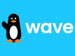 Faire un don par Wave.